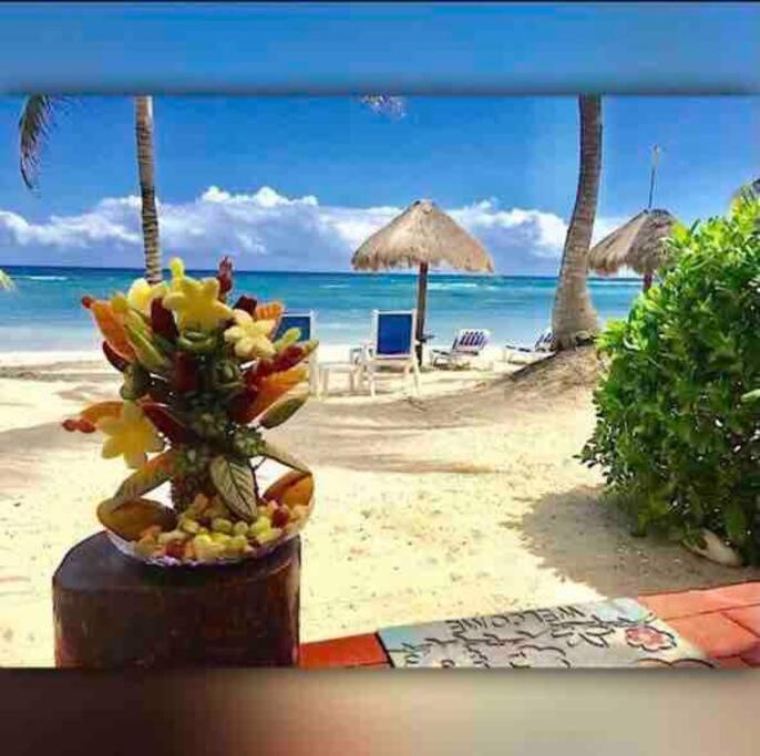 Beachfront Akumal Half Moon Bay Ngoại thất bức ảnh