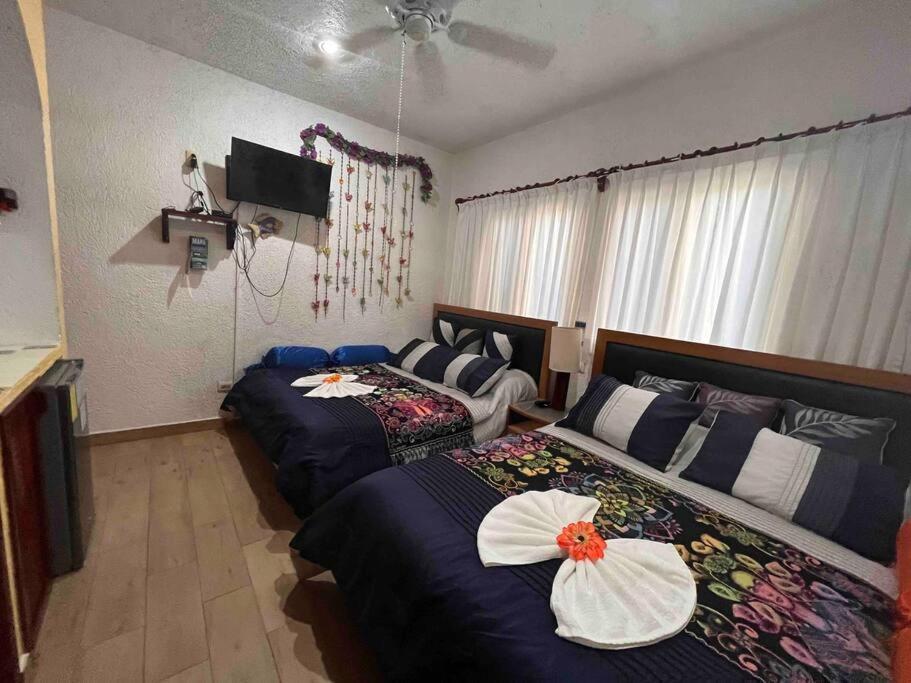 Beachfront Akumal Half Moon Bay Ngoại thất bức ảnh
